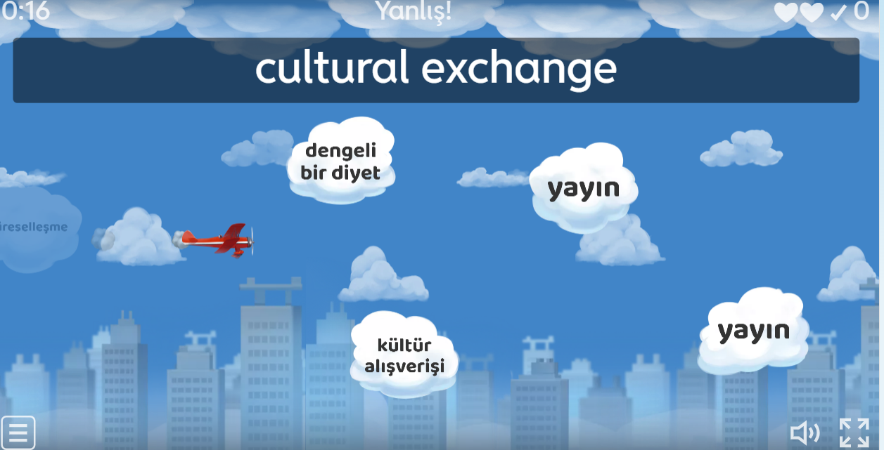 VOCABULARY - 5